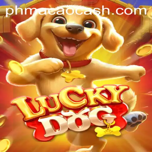 Exploring LuckyDog at PHMACAO Casino: Game Dynamics and Exciting Features
